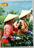 40147141 - Teepflueckerinnen Auf Java - Indonésie