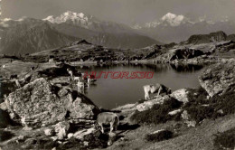 CPSM SUISSE - RIEDERALP , BLAUSEELL - Autres & Non Classés