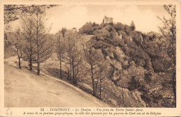 61-DOMFRONT-N°507-B/0211 - Domfront