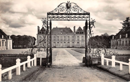 61-HARAS DU PIN-N°507-A/0203 - Other & Unclassified