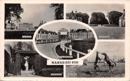 61-HARAS DU PIN-N°507-A/0179 - Other & Unclassified