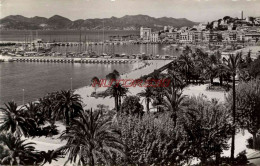 CPSM CANNES - VERS LE MONT CHEVALIER - Cannes