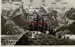CPSM SUISSE - BERNER OBERLAND - Other & Unclassified