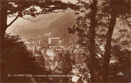 63-LE MONT DORE-N°508-A/0341 - Le Mont Dore