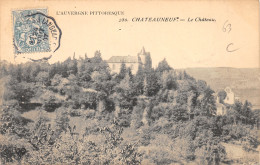 63-CHATEAUNEUF LES BAINS-N°507-H/0279 - Autres & Non Classés