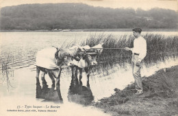 64-SCENE DES PYRENEES ATLANTIQUES-ATTELAGE DE BŒUFS-N°508-C/0051 - Autres & Non Classés