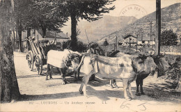 65-LOURDES-N°508-H/0017 - Lourdes