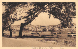 66-BANYULS SUR MER-N°509-A/0065 - Banyuls Sur Mer