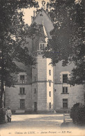 72-LE LUDE-LE CHÂTEAU-N°509-G/0025 - Other & Unclassified