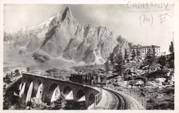 74-CHAMONIX-CHEMIN DE FER DU MONTENVERS-N°510-E/0125 - Chamonix-Mont-Blanc