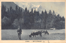 74-CHAMONIX-BOIS DU BOUCHET-N°510-E/0101 - Chamonix-Mont-Blanc