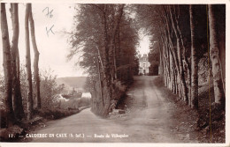 76-CAUDEBEC EN CAUX-N°511-D/0039 - Caudebec-en-Caux