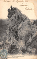 77-LARCHANT-LES ROCHERS DE DAME JOUANNE-N°512-D/0009 - Larchant