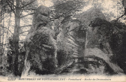 77-FONTAINEBLEAU-LA FORET-N°512-C/0353 - Fontainebleau