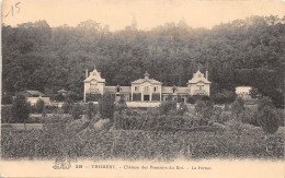 77-THOMERY-CHÂTEAU DES PRESSOIRS-N°513-A/0005 - Autres & Non Classés