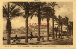 CPA CANNES - LES PALMIERS DE LA CROISETTE ET LE MONT CHEVALIER - Cannes