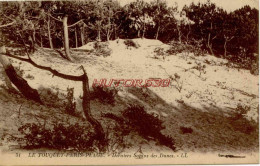 CPA LE TOUQUET - PARIS PLAGE - SAPINS DES DUNES - Le Touquet