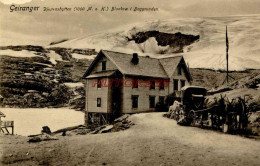 CPA NORVEGE - GEIRANGER - DJUPVASHYTTEN - Norwegen