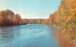 Canada Matane River - Unclassified