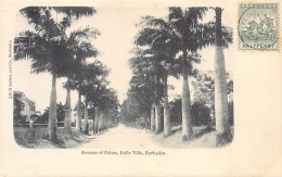 Barbados - BELLE VILLE - Avenue Of Palms - Publ. J.R.H. Seifert And Co.  - Barbados (Barbuda)
