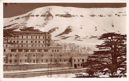 Liban - Hôtel Des Cèdres - CARTE PHOTO - Ed. Inconnu  - Libanon