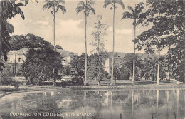Barbados - BRIDGETOWN - Codrington College - Publ. Collin's Carlisle Pharmacy  - Barbades