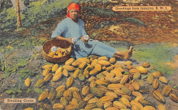 Jamaica - Breaking Cocoa - Publ. Cleary & Elliott 223 - Jamaïque