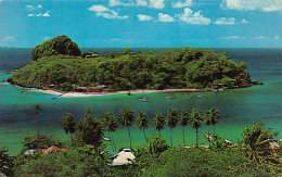 Saint Vincent - Young Island - Publ. Bruce G. Lynn  - Saint Vincent &  The Grenadines