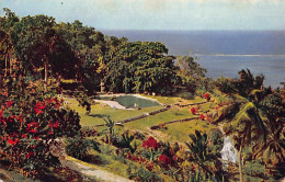 Jamaica - ST. ANN - Part Of Grounds At Shaw Park Hotel - Publ. J. Arthur Dixon Ltd. 6 - Jamaïque