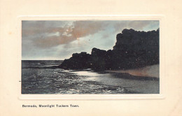 Bermuda - Moonlight Tuckers Town - Publ. J. H. Bradley & Co. 203 - Bermudes
