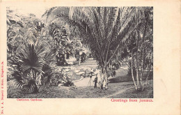 Jamaica - KINGSTON - Photographer In Castleton Gardens - Publ. A. Duperly & Sons 6 - Giamaica