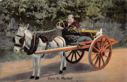 EIRE Ireland - Goin' To Market - Irish Peasant Cart - Altri & Non Classificati