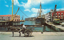 Barbados - BRIDGETOWN - Careenage (Old Docks) - Publ. C. L. Pitt & Co.  - Barbados
