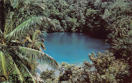 Jamaica - PORT ANTONIO - Blue Hole - Publ. The Novelty Trading Co.  - Giamaica