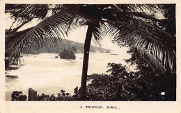 Trinidad - View Trough The Coconut Tree - REAL PHOTO - Publ. Unknown 4 - Trinidad
