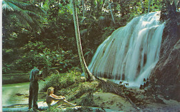 Jamaica - By A Typical Jamaican Waterfall - Publ. Novelty Trading Co. 37 - Jamaïque