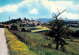 CLERMONT--vue Générale--aux Environs De SEYSSEL - Seyssel