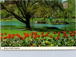 1-6-2024 (3) USA  - Boston Public Gardens - Boston