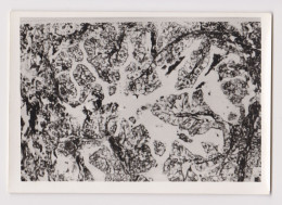 Pattern, Sample Microscope Photo, Odd Abstract Surreal Vintage Orig Photo 13x9cm. (68553) - Objets