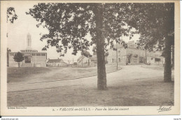 Vallon-en-Sully (03) - Place Du Marché Couvert - Autres & Non Classés