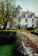 CHATEAU DE FROMENTAL ..EN LIMOUSIN - Autres & Non Classés