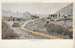 TIB1  --  HEDIN, IM HERZEN VON ASIEN   --  HOCHGEBIRGE IN TIBET - Tibet