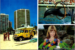 1-6-2024 (5) Australia - 2 Postcards - QLD - Surfer Paradise - Gold Coast