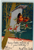 10684241 - Vogelhaus Ilex Mondschein - Oiseaux