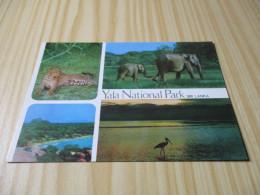 Yala National Park (Sri Lanka).Vues Diverses. - Sri Lanka (Ceylon)