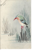 HISAKAJIMA - JAPON - T.Belle Carte Fantaisie ( Oiseau ) - "Bonne Année 1924 " - Altri & Non Classificati
