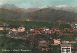 PRALUNGO - SCORCIO PANORAMICO - Biella