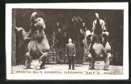 AK Broncho Bill`s Wonderful Elephants Salt & Saucy  - Circus