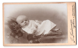 Fotografie Tr. Friedemann, Dresden, Rosenstrasse 48, Säugling Auf Chaiselongue  - Anonieme Personen