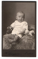 Fotografie H. Springmeier, Einbeck, Portrait Süsses Kleinkind Im Hemd Mit Plüschtier  - Anonieme Personen